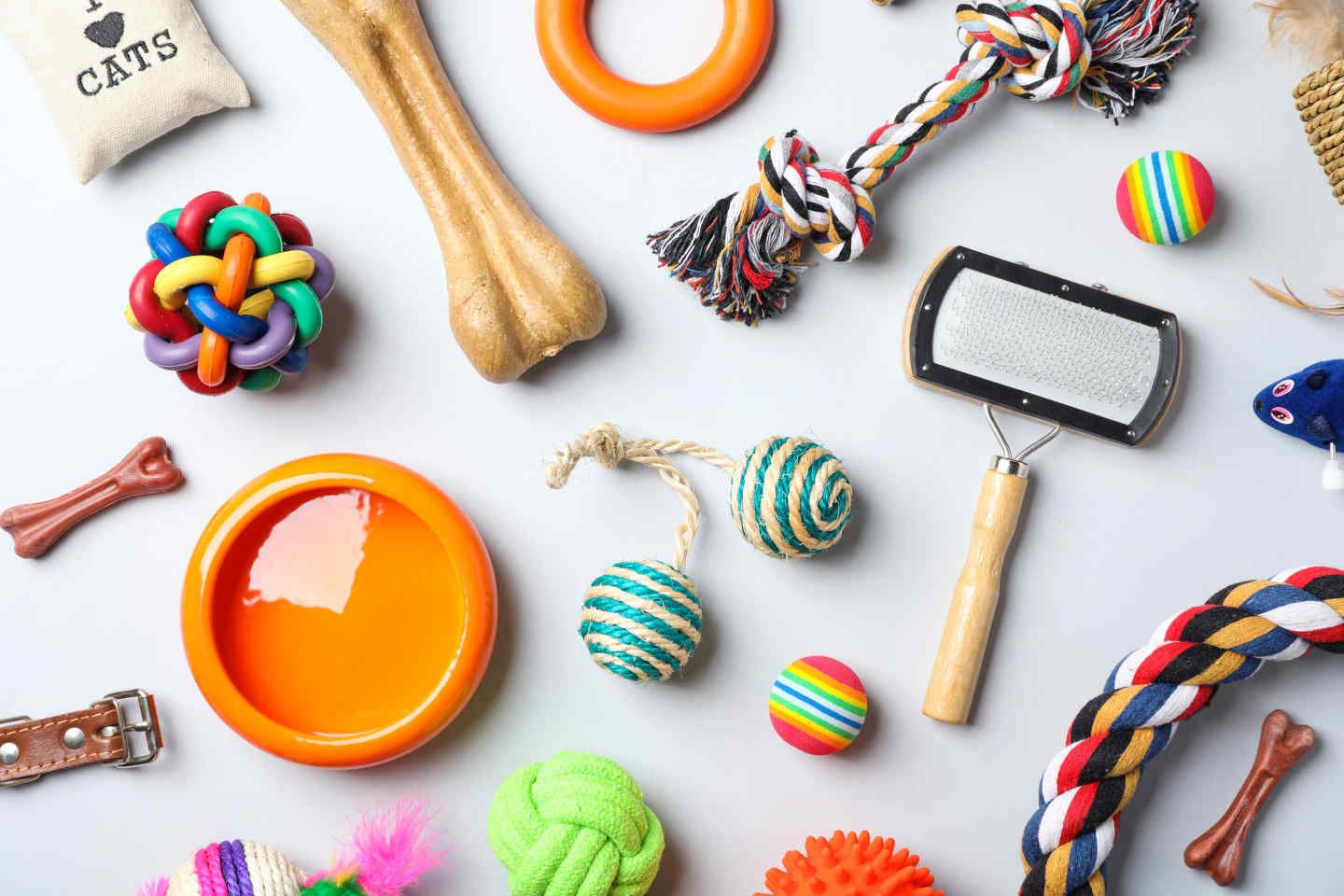 🐾 Les accessoires indispensables pour le bien-être de votre chien (Guide 2026)