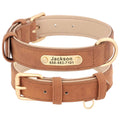 Collier Chien Personnalisé Cuir