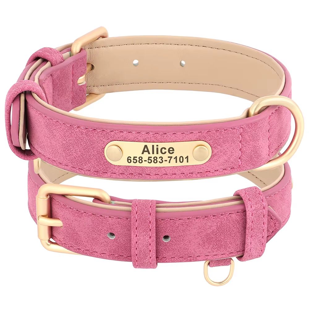 Collier Chien Personnalisé Cuir