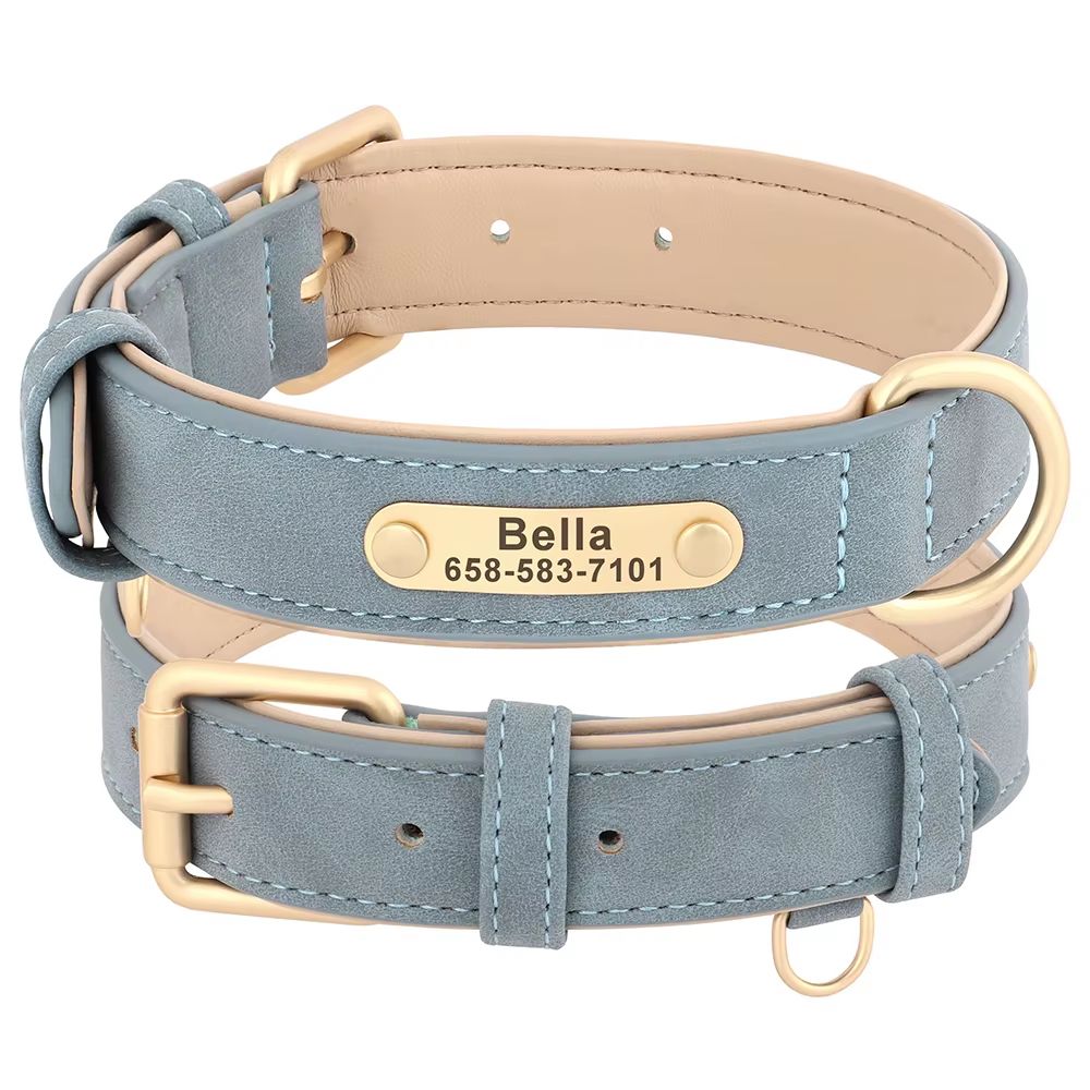 Collier Chien Personnalisé Cuir