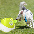 Lanceur de Balles Automatique pour Chien