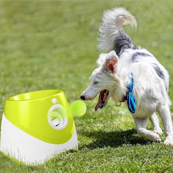 Lanceur de Balles Automatique pour Chien