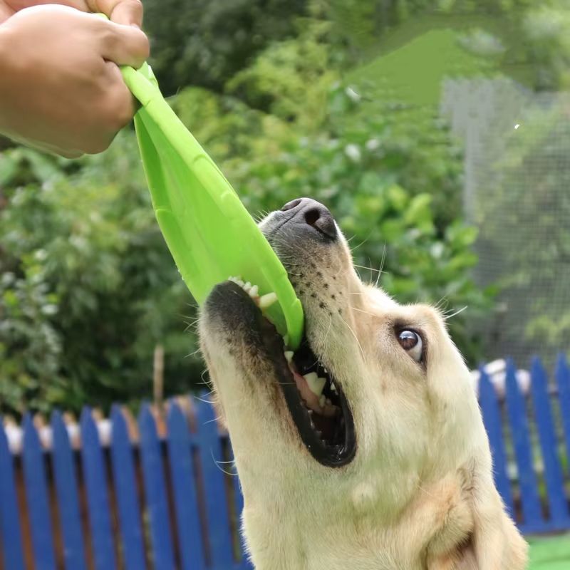 Frisbee Silicone pour Chien