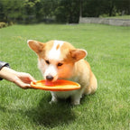 Frisbee Silicone pour Chien