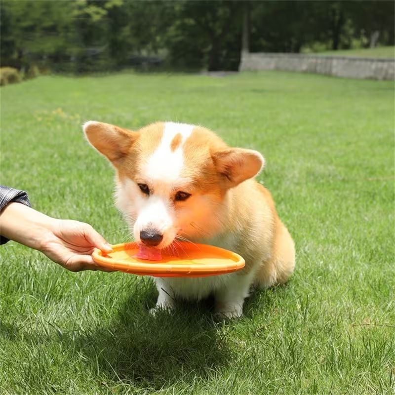 Frisbee Silicone pour Chien