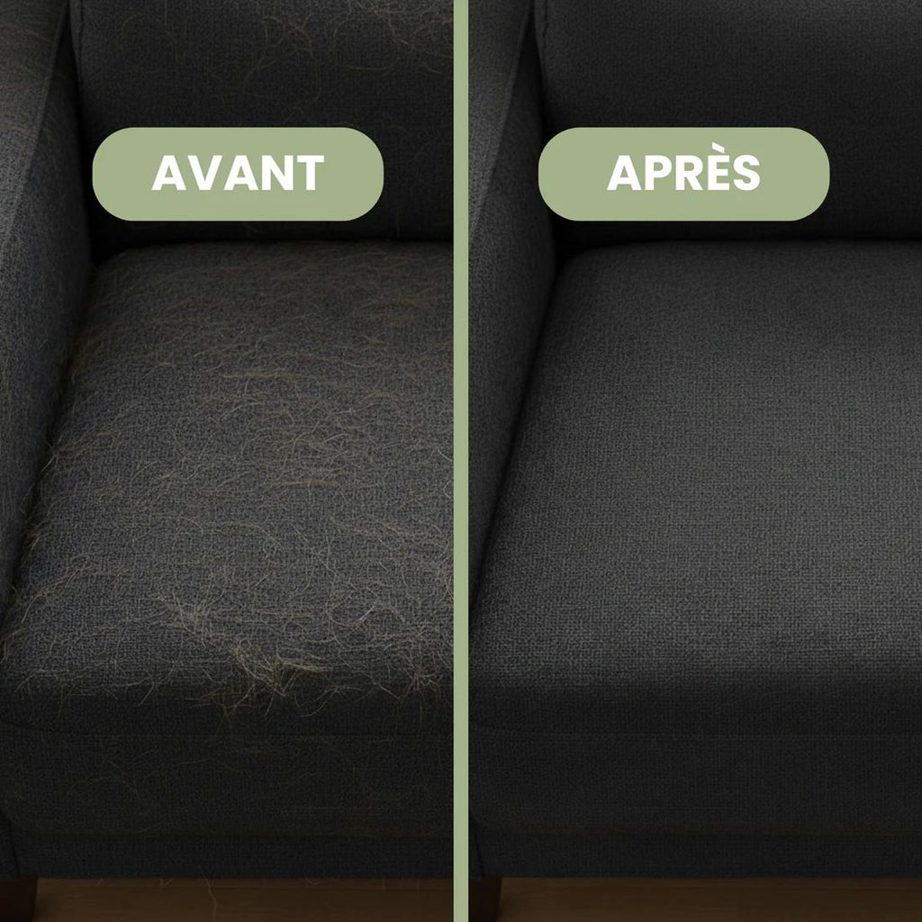 Gants de Toilettage Anti-Poils pour Chien