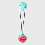 Jouet Brosse à Dents pour Chien avec Ventouse & Distributeur de Friandises