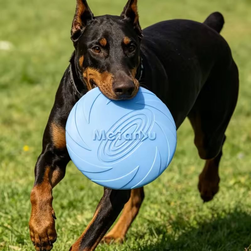 Frisbee Silicone pour Chien