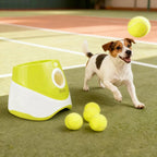 Lanceur de Balles Automatique pour Chien
