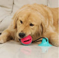 Jouet Brosse à Dents pour Chien avec Ventouse & Distributeur de Friandises