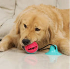 Jouet Brosse à Dents pour Chien avec Ventouse & Distributeur de Friandises
