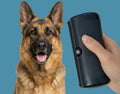 Brosse Professionnelle de Démêlage pour Chien Ergonomique, Anti-Poils, Multifonctionnelle