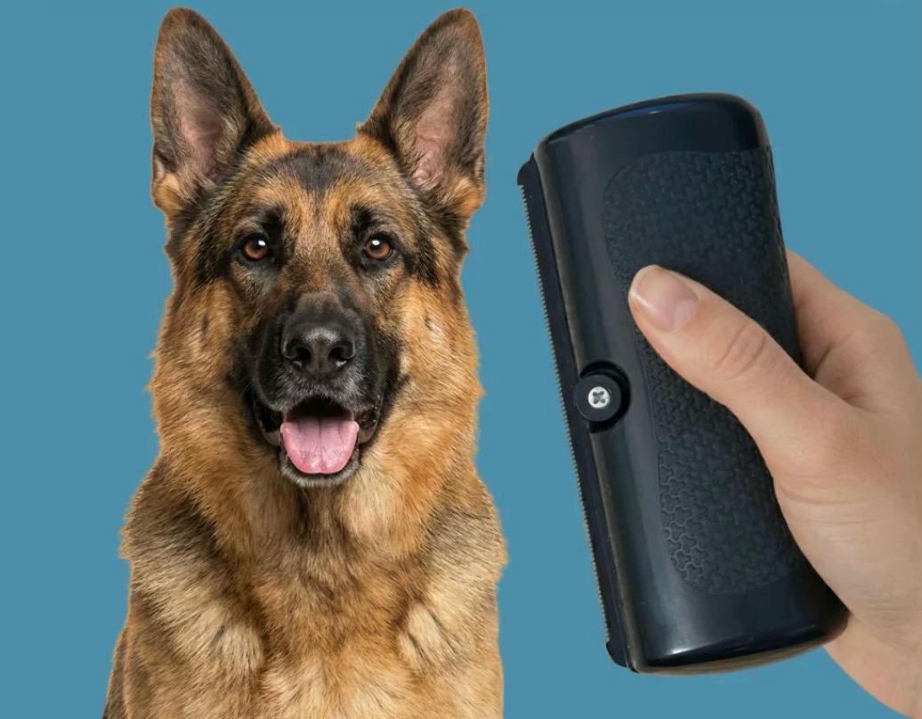 Brosse Professionnelle de Démêlage pour Chien Ergonomique, Anti-Poils, Multifonctionnelle