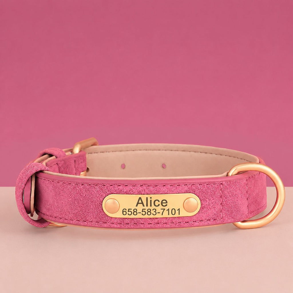 Collier Chien Personnalisé Cuir