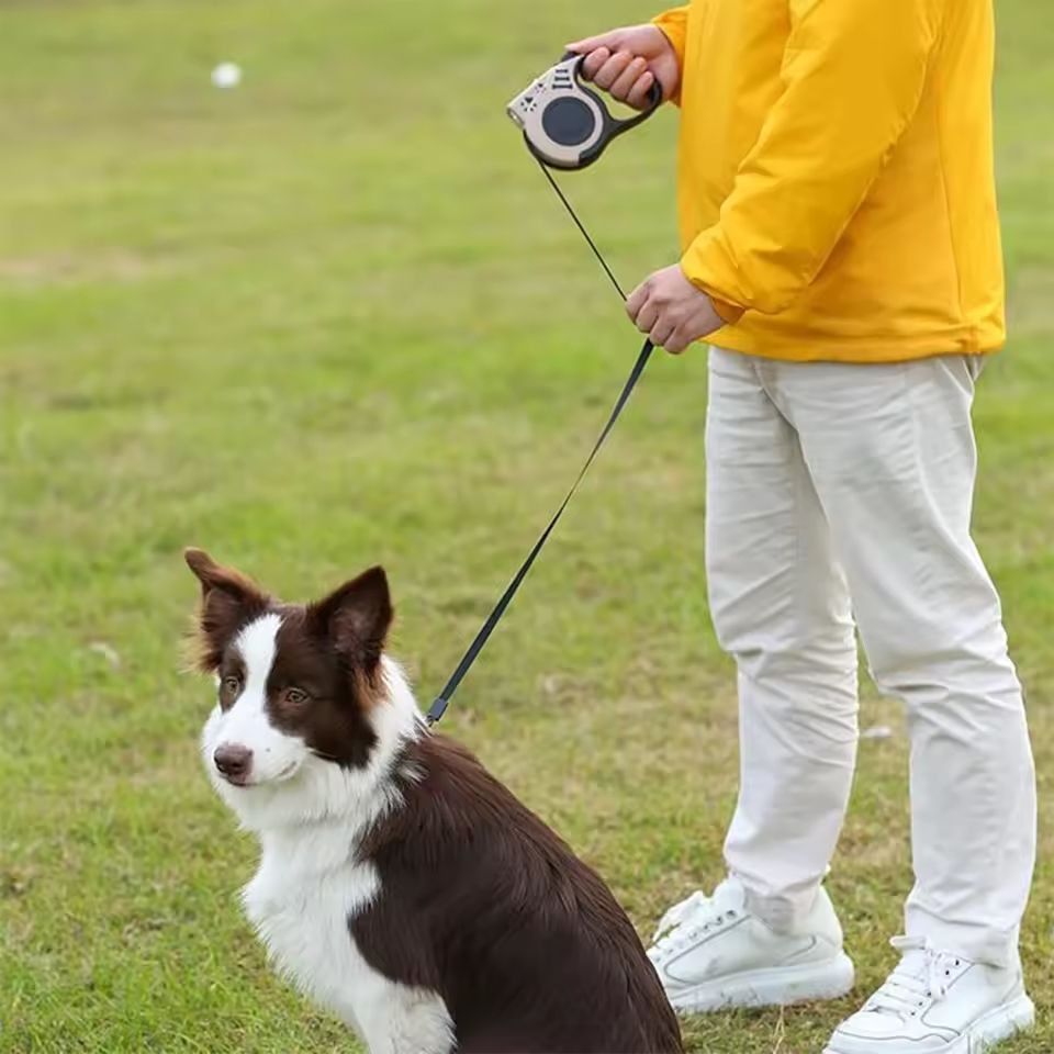 Laisse Rétractable LED 5M pour Chien Sécurité Nocturne & Confort