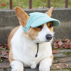 Casquette Baseball Chien en Velours Côtelé Réglable  XS à XL
