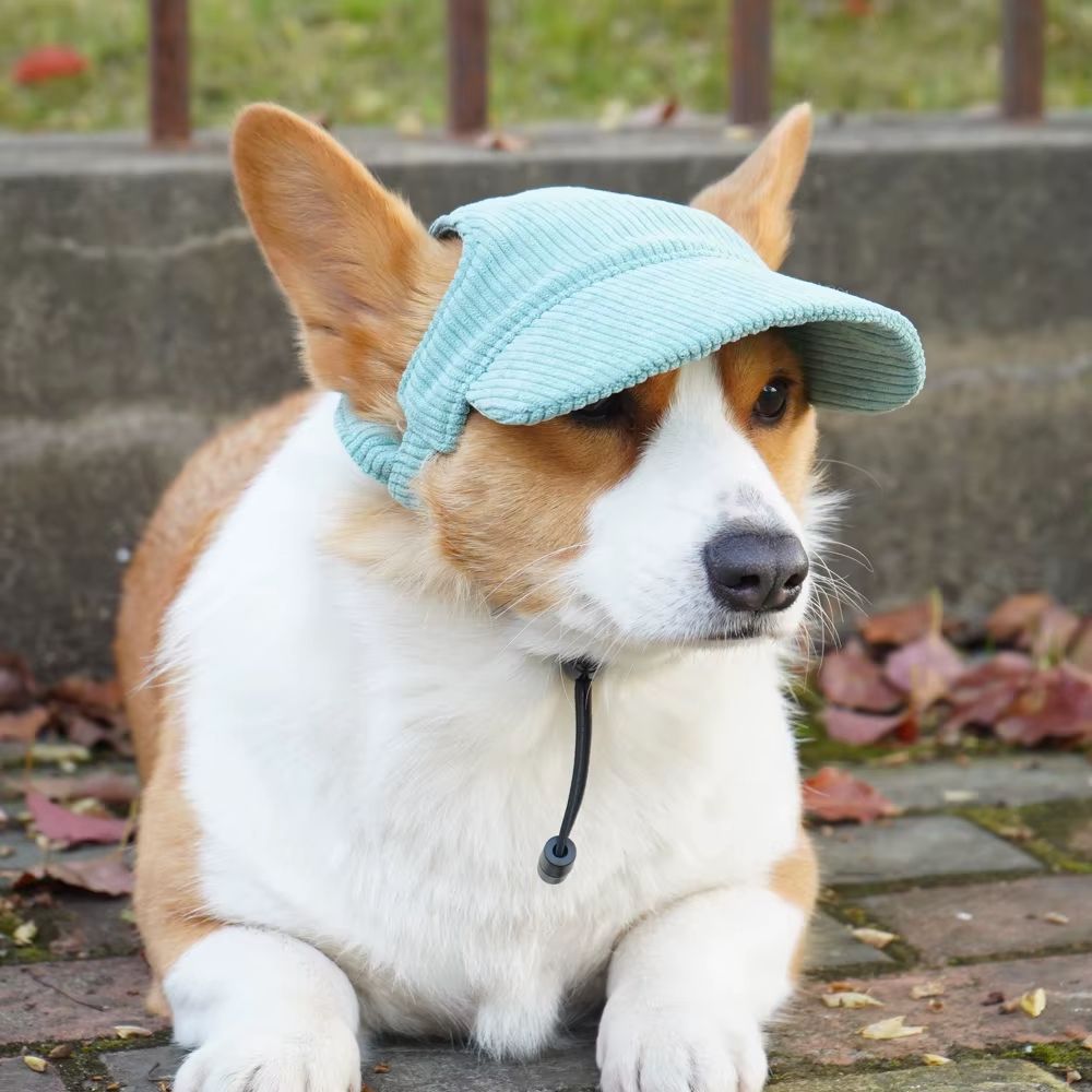 Casquette Baseball Chien en Velours Côtelé Réglable  XS à XL